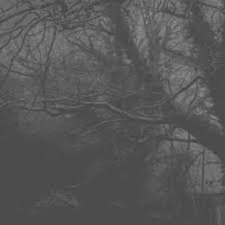 Kat Polar - Transitioning Kat Polar - Transitioning